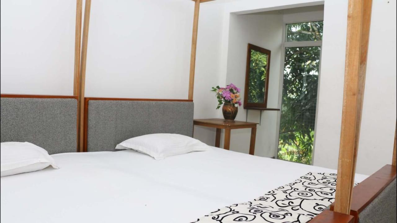Suisse Villa キャンディー エクステリア 写真