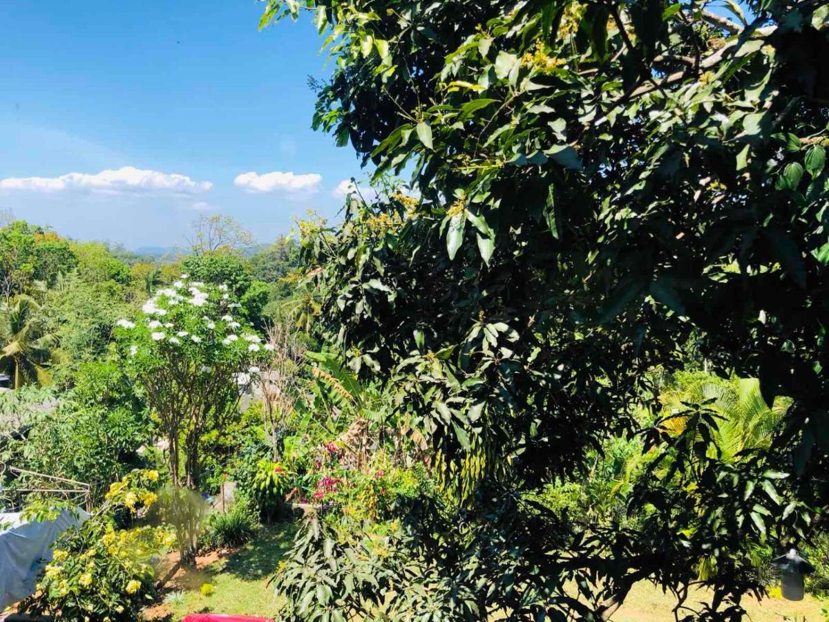 Suisse Villa キャンディー エクステリア 写真